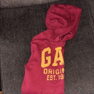 GAP Kids Maroon, Blue and Pink Hoodies